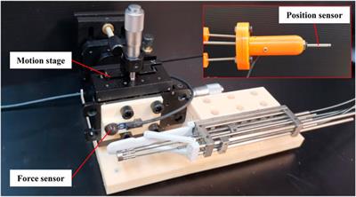A Flexible Transoral Robot Towards COVID-19 Swab Sampling